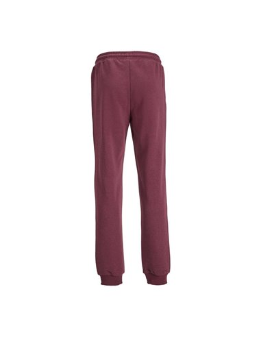 PANTALÓN DE CHÁNDAL JUNIOR JPSTGORDON Port Royale/Burdeos