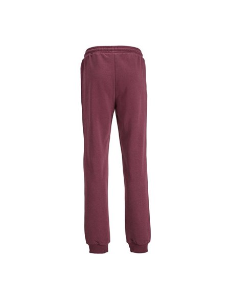 PANTALÓN DE CHÁNDAL JUNIOR JPSTGORDON Port Royale/Burdeos