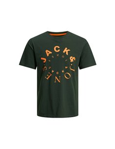 CAMISETA JUNIOR JJWARRIOR Mountain View/Verde