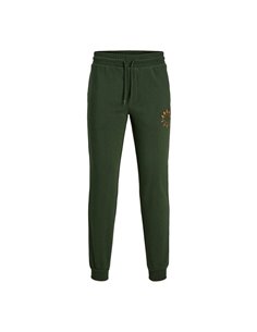 PANTALÓN DE CHÁNDAL JPSTGORDON JJWARRIOR Mountain View/Verde